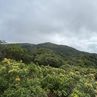 次目指すホッケ山。たぶん魚のホッケではなく、感じで書いたら法華なんでしょうね