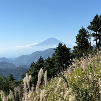 ここからの富士山も素敵