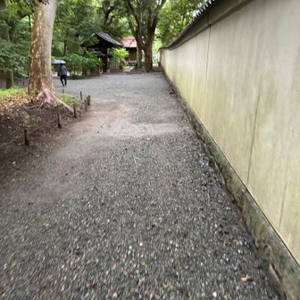 東京ドームの応援が聞こえてく〰️る〰️😆