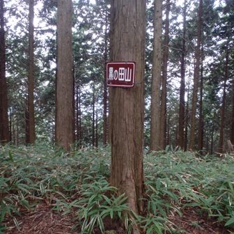 黒の田山
