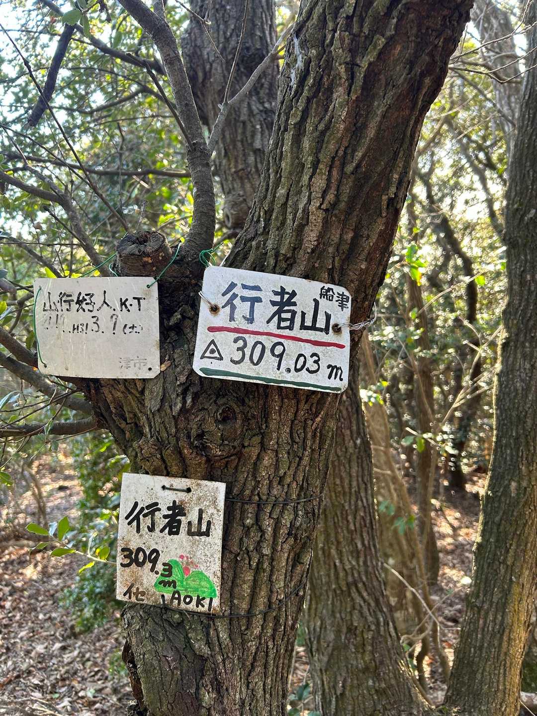 船津行者山 往復コースの写真