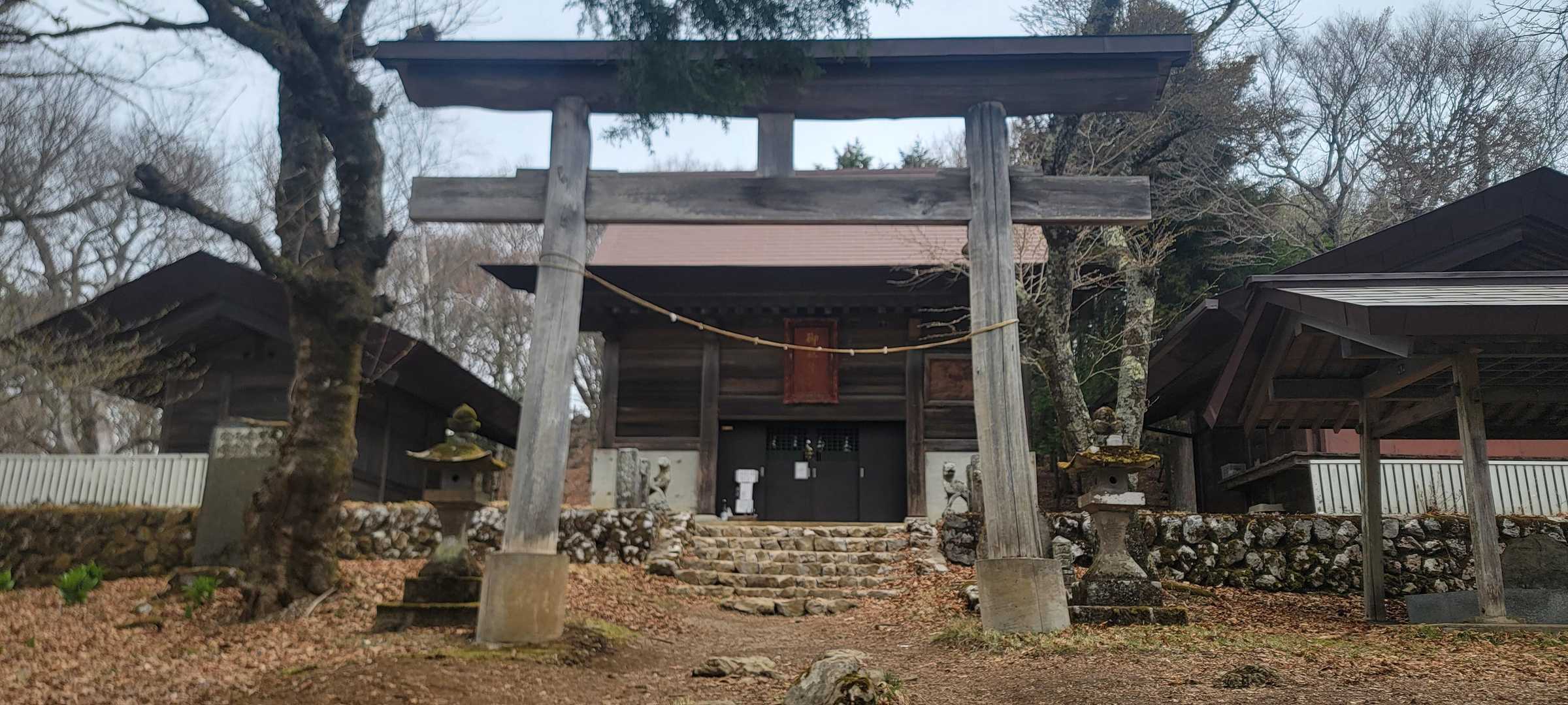 手を合わせて鳥居を潜ります。
