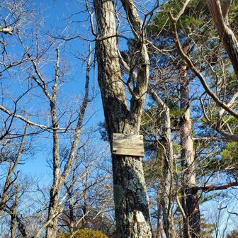 御所谷山

いつも横通ってピークはとれてたけど、初めてちゃんと登ってみた✌️