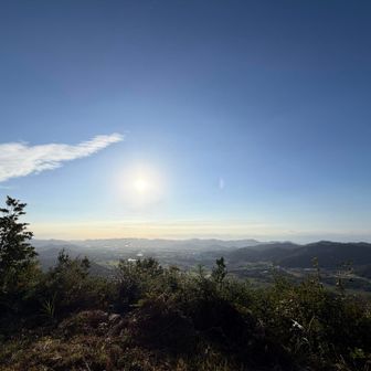 すーごい朝の景色‼︎