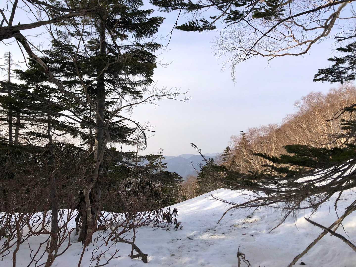 急登が終わると、一瞬開けた場所に出ます