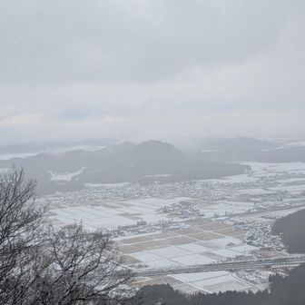 こりゃ待つ甲斐がありそう。