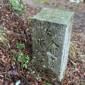 入道を案内🚶‍♀️‍➡️