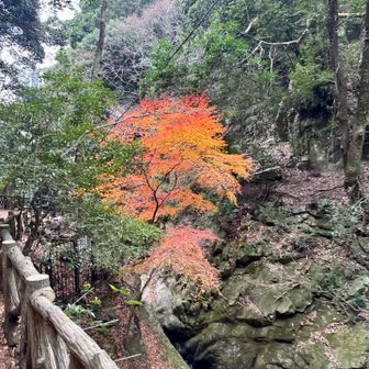 紅葉もまだ少し残ってました
