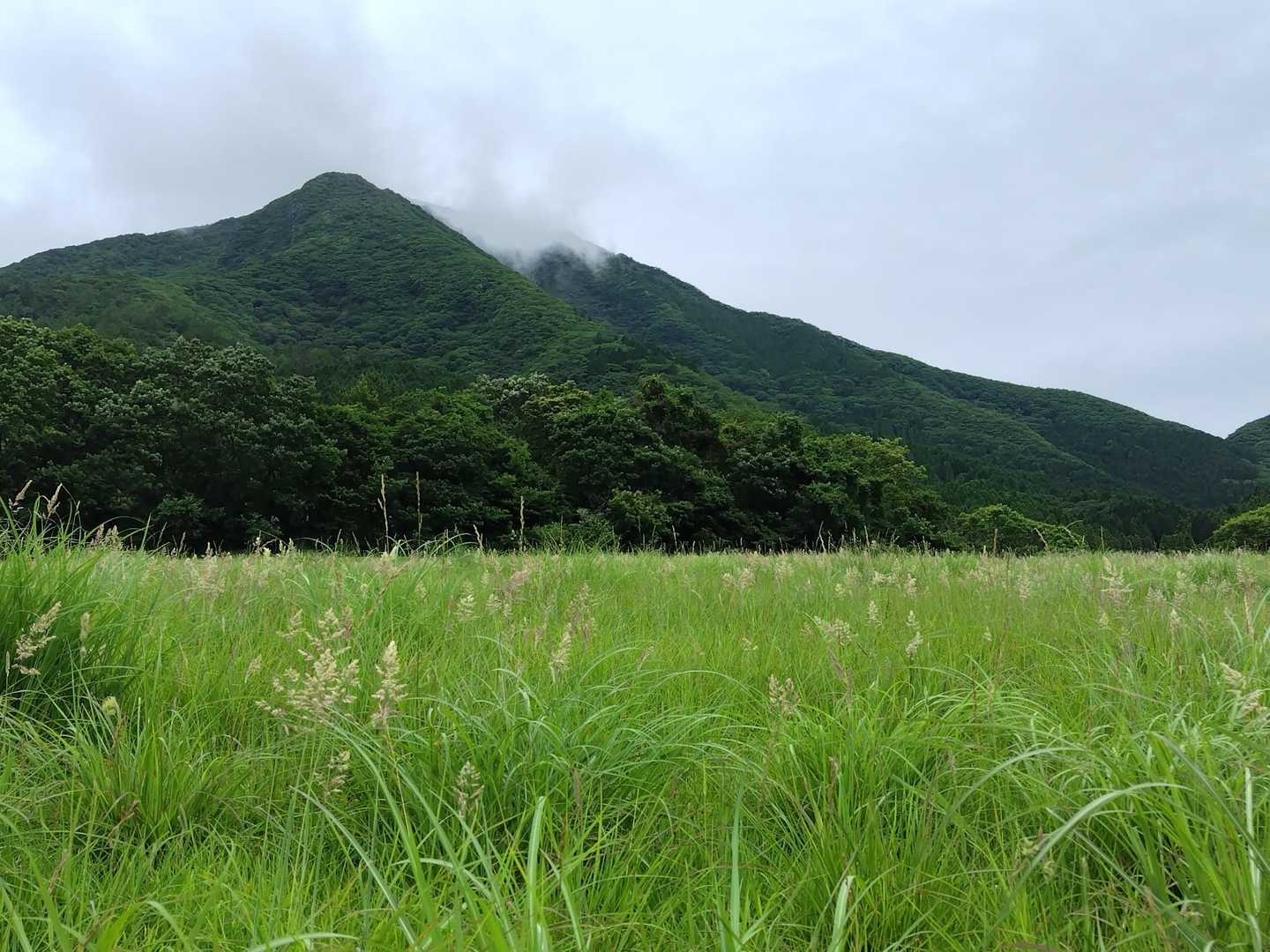 鳴子山ありがとう