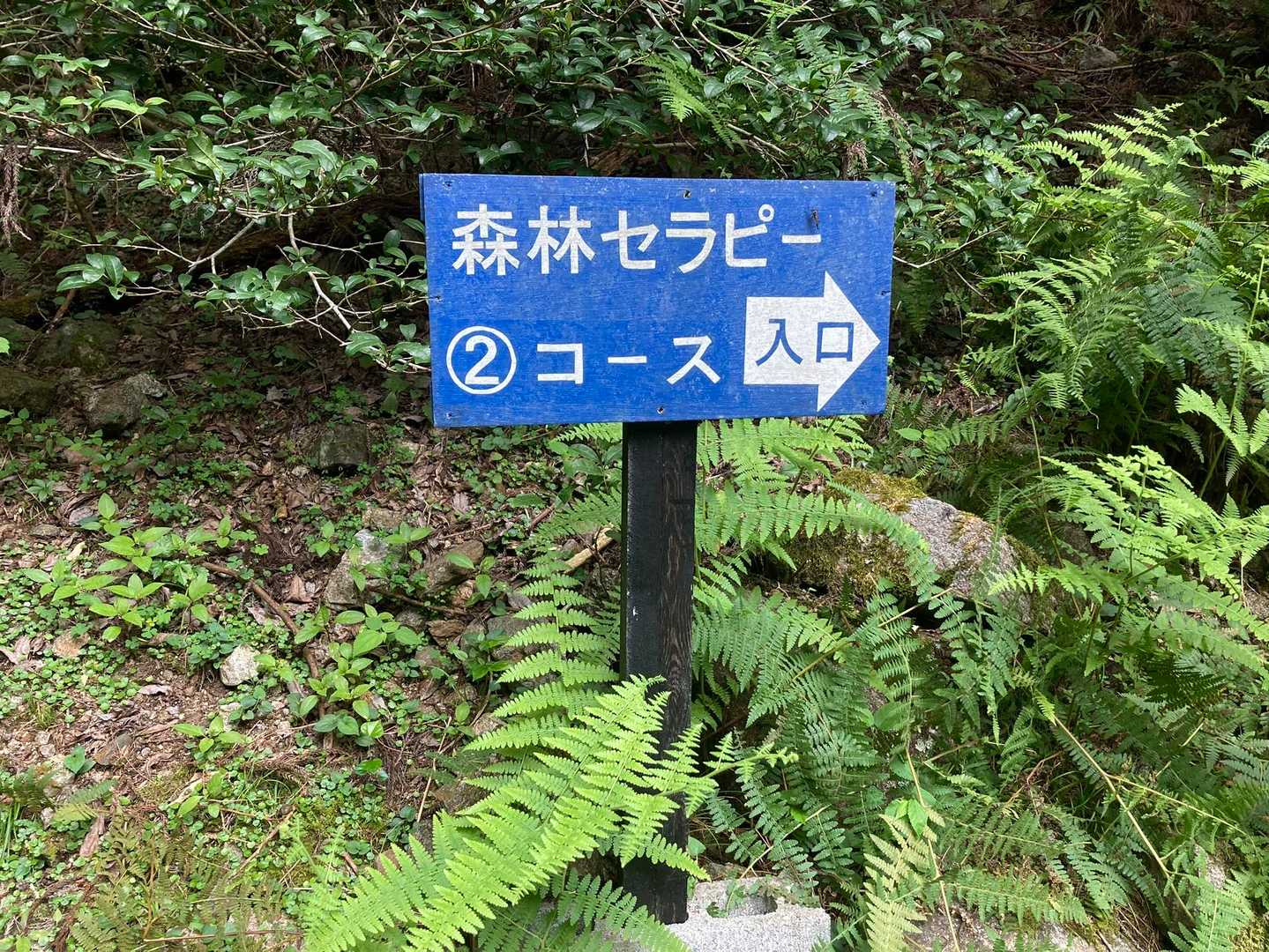 美杉町のいくつかある森林セラピーの中の一つのコースみたいです。