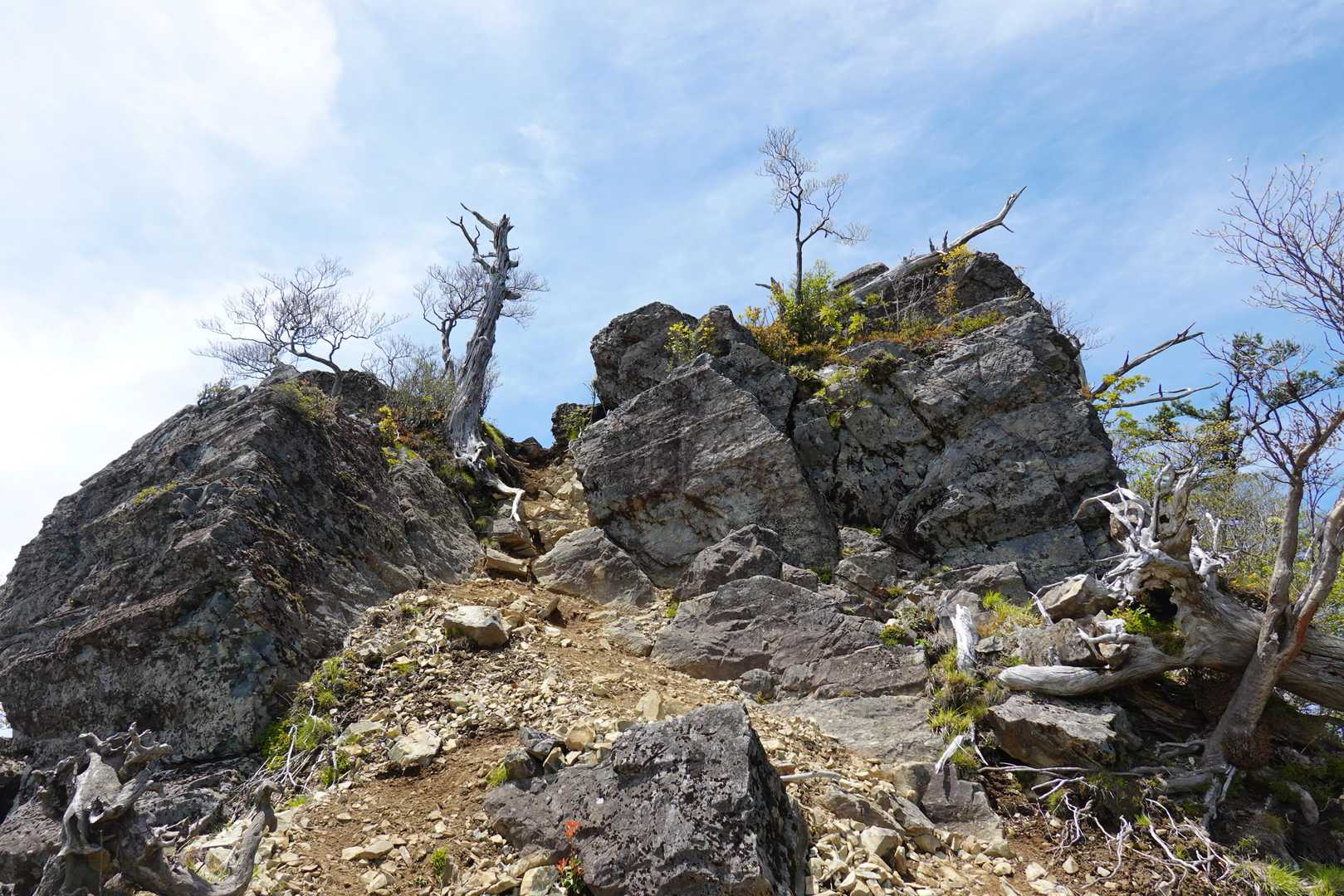 お姫山
イメージと違って岩山です。