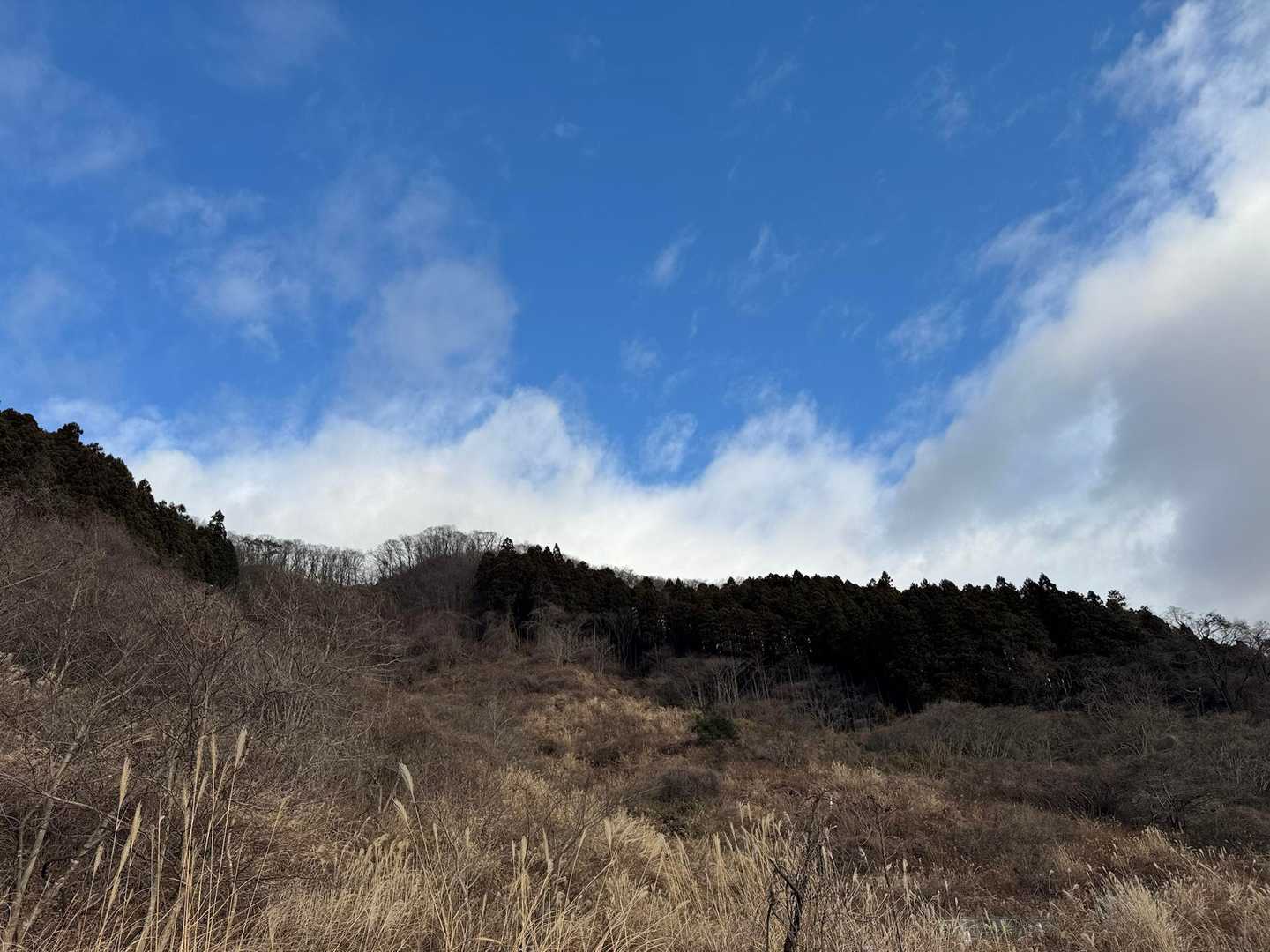 本日も素晴らしい景色をありがとうございました！