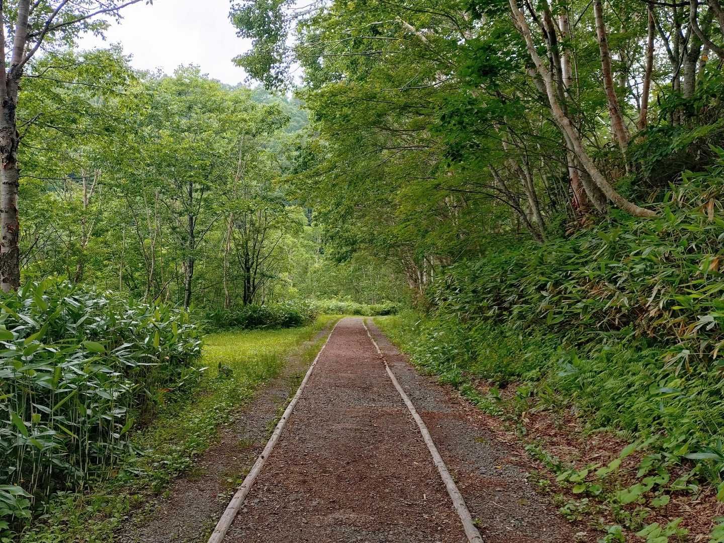 遊歩道は5kmほど...🐾🐾
