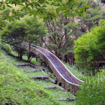 滑り台？昔は流行ったのかな…