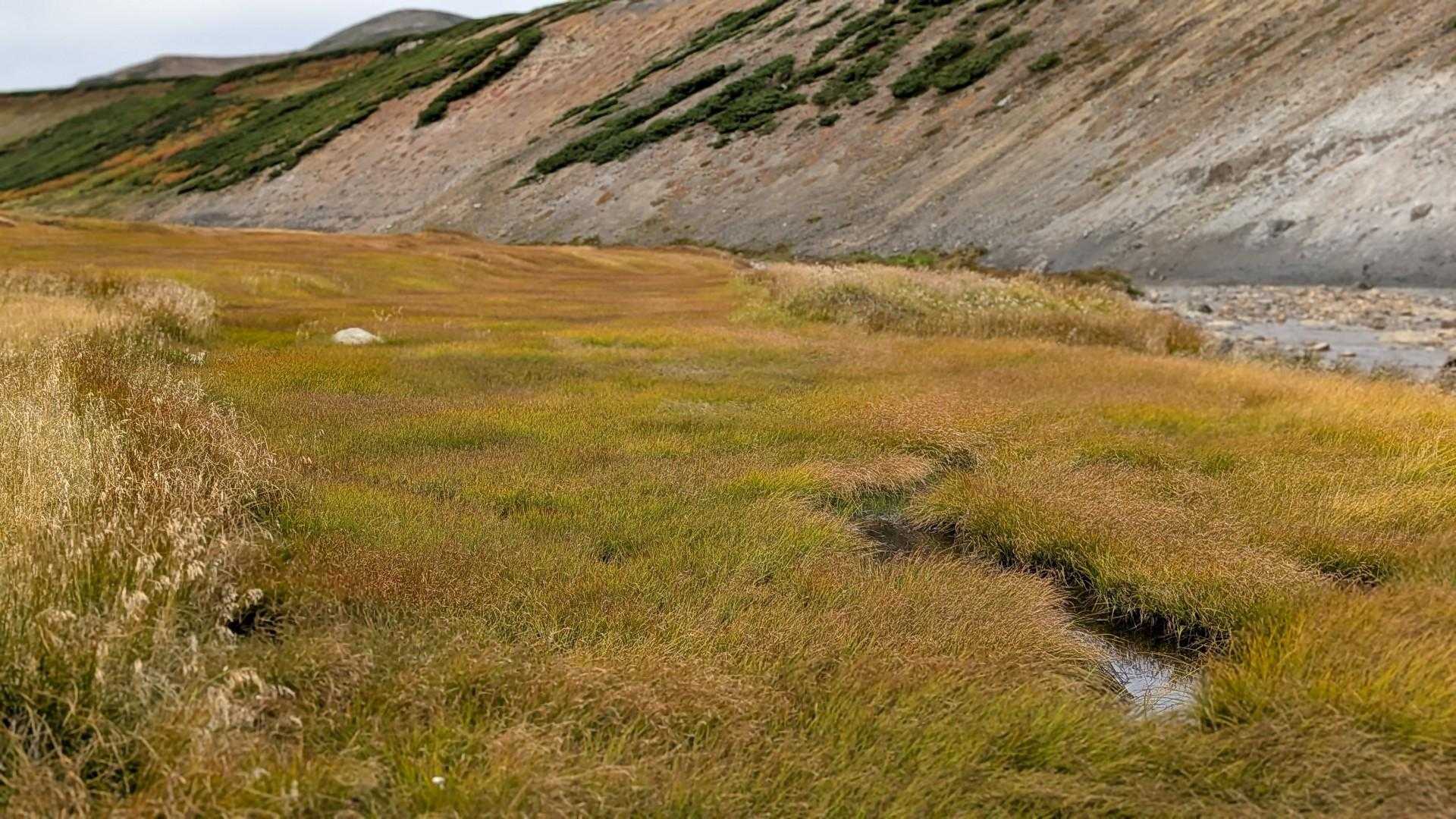 七合目登山事務所-黒岳-北海岳 往復コースの写真