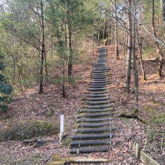 さてー登りますよー