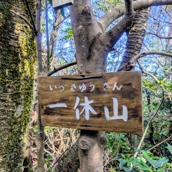 一休さーん
ここから激下り。