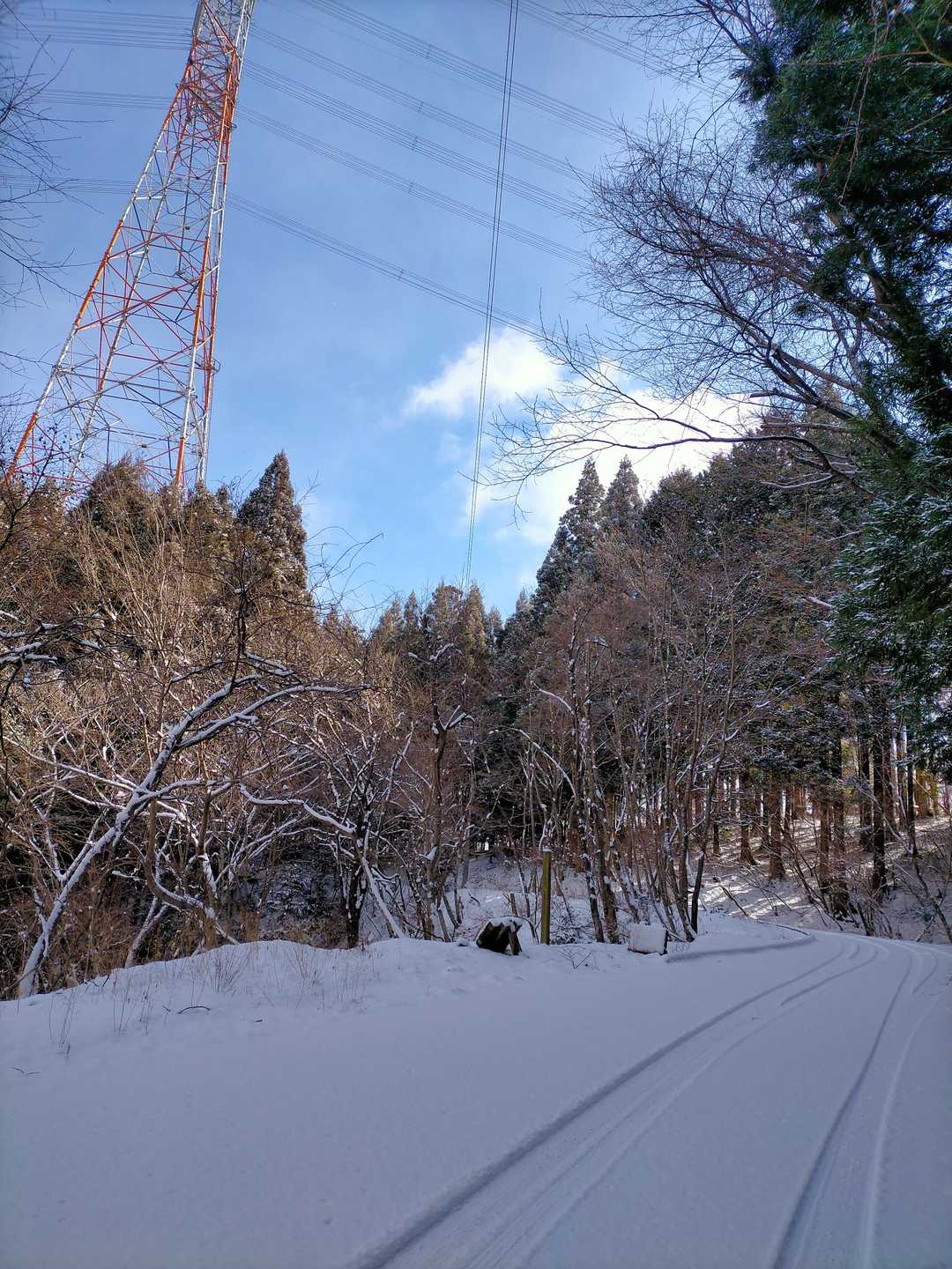 大笹山 往復コースの写真