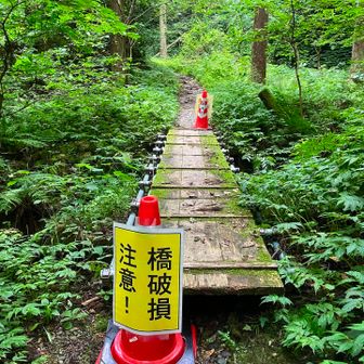 丁度5Kだったので折り返し🏃‍♂️