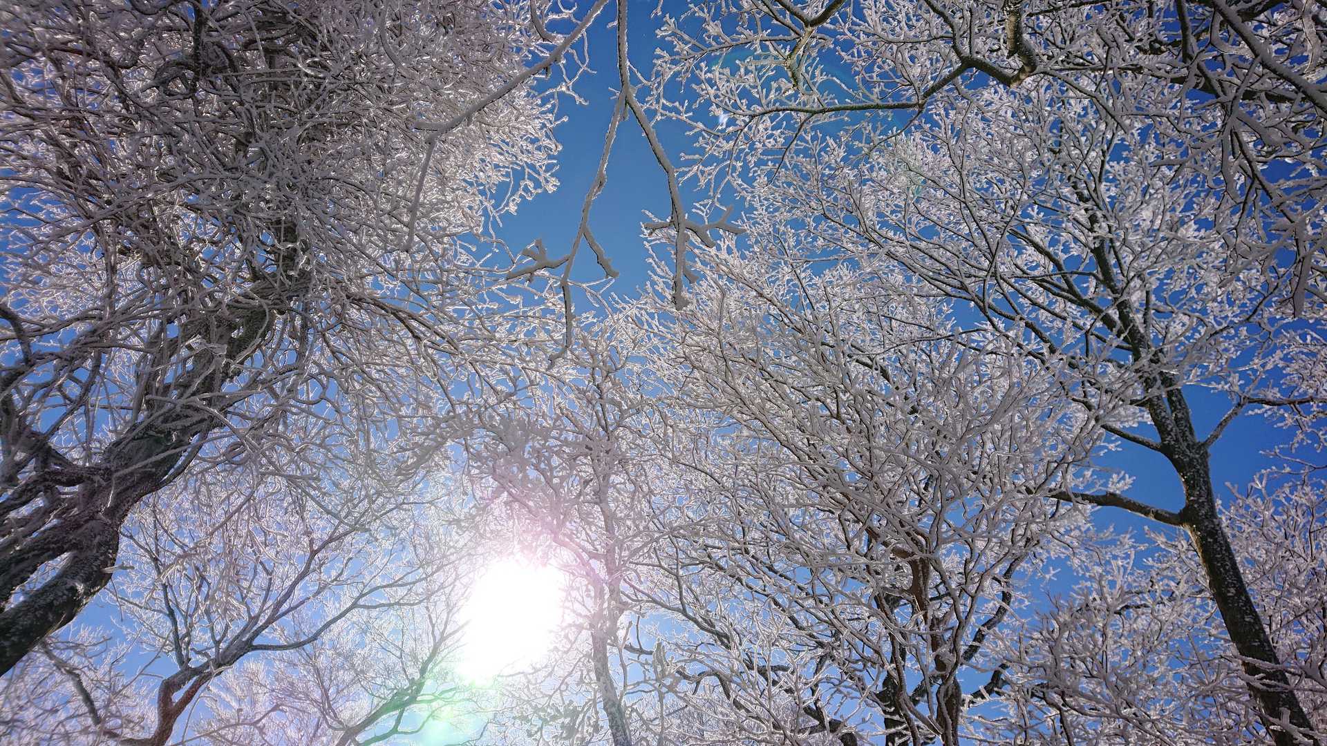 樹氷と快晴☀️

この景色が見たかったー🥰