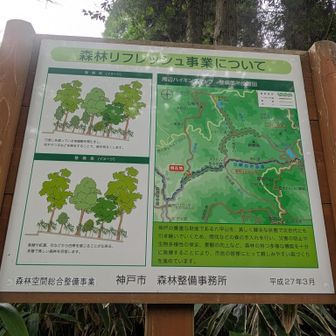 現在地