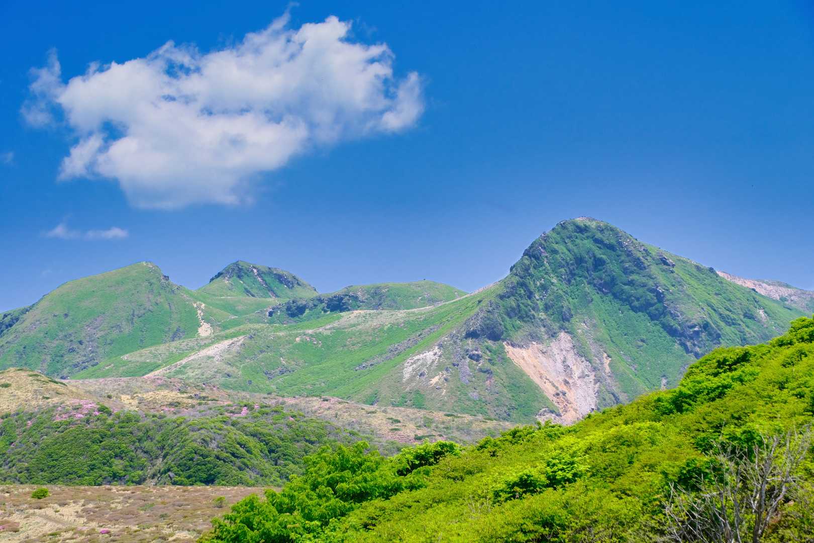 左から天狗ヶ城、中岳、久住山