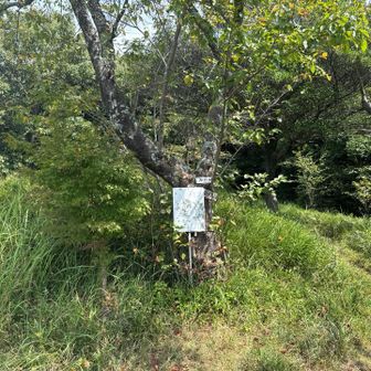 山頂はここではありません。
もう少し奥にあります。