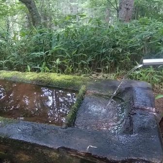 貴重な水