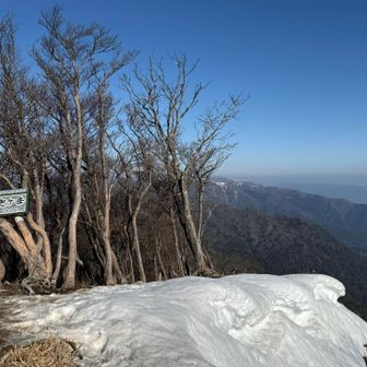 空が青くてサイコー