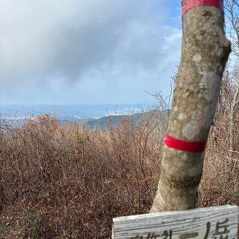 最後のピーク⛰️
遠くに海が見えました😊🌊
あー！楽しかった😊