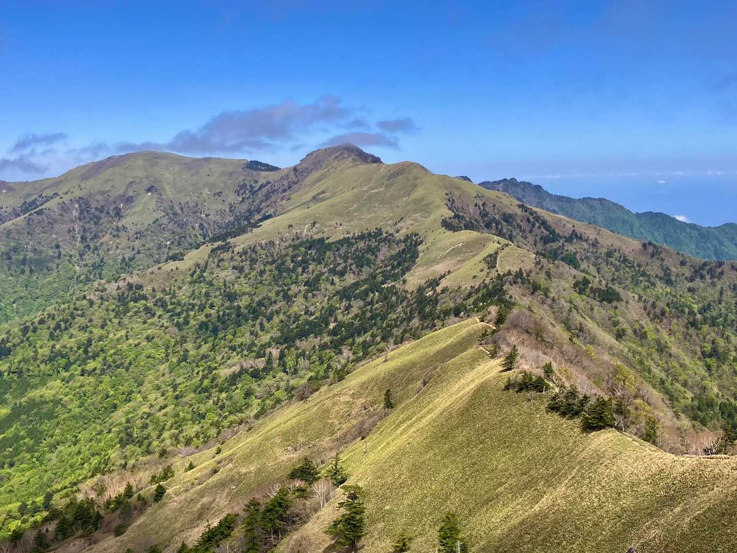 やっと抜けた！
ちち山、笹ヶ峰までの美しい笹原の稜線✨