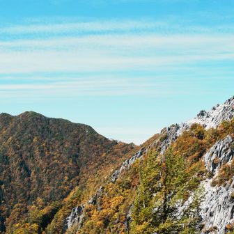 高嶺もきれいだった