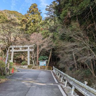 さ、ようやくスタート地点
2時半には下山したいけど、
体力半分使ってしまってるので😅