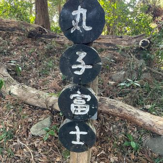 意外にもお初👍