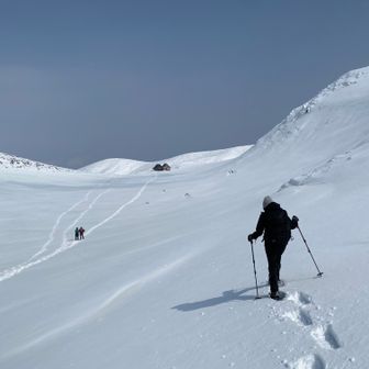 帰りも道なき道をゆく🎶