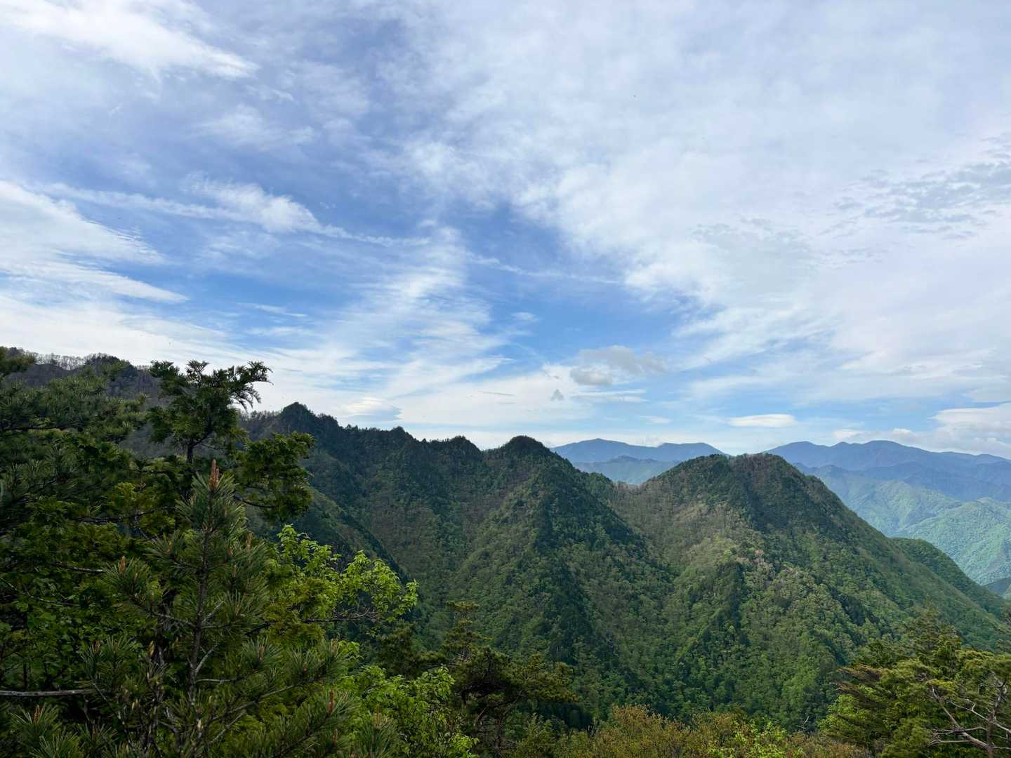 上落合橋登山口-八丁尾根-両神山 往復コースの写真