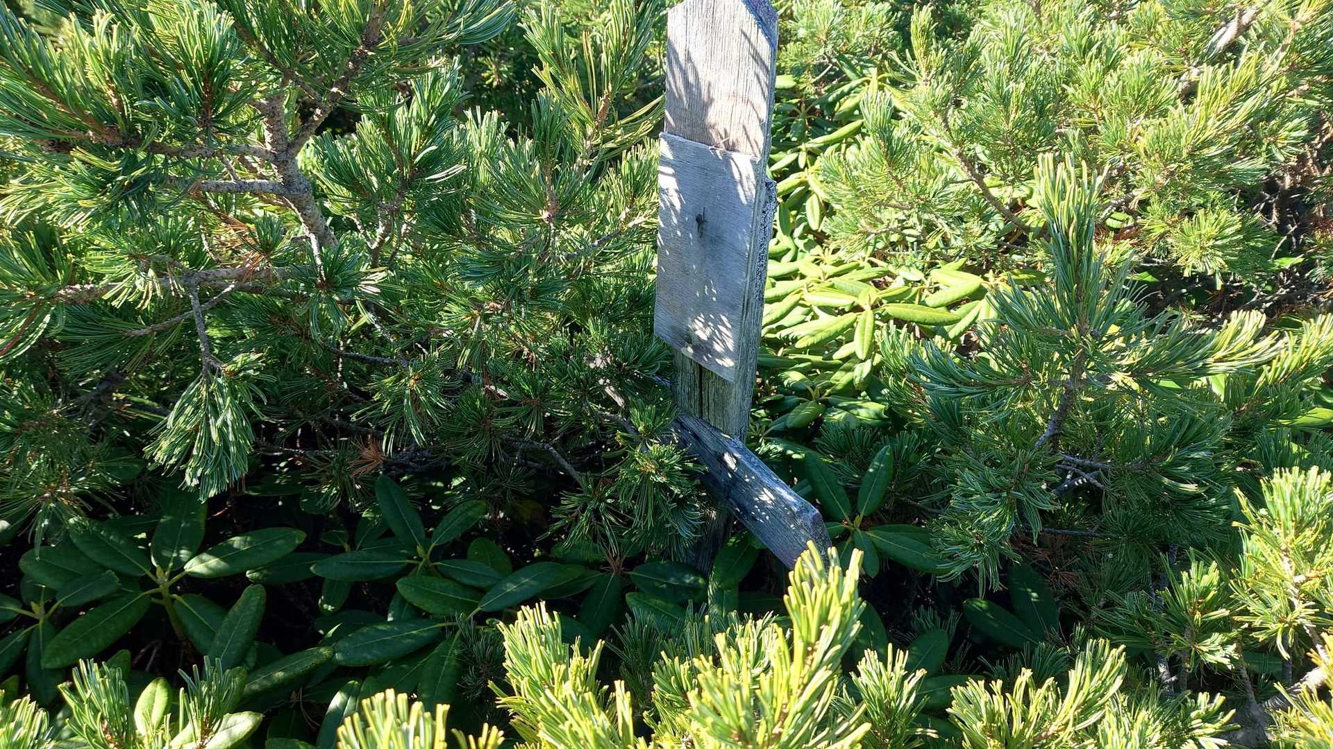 戻ってきて看板発見😅