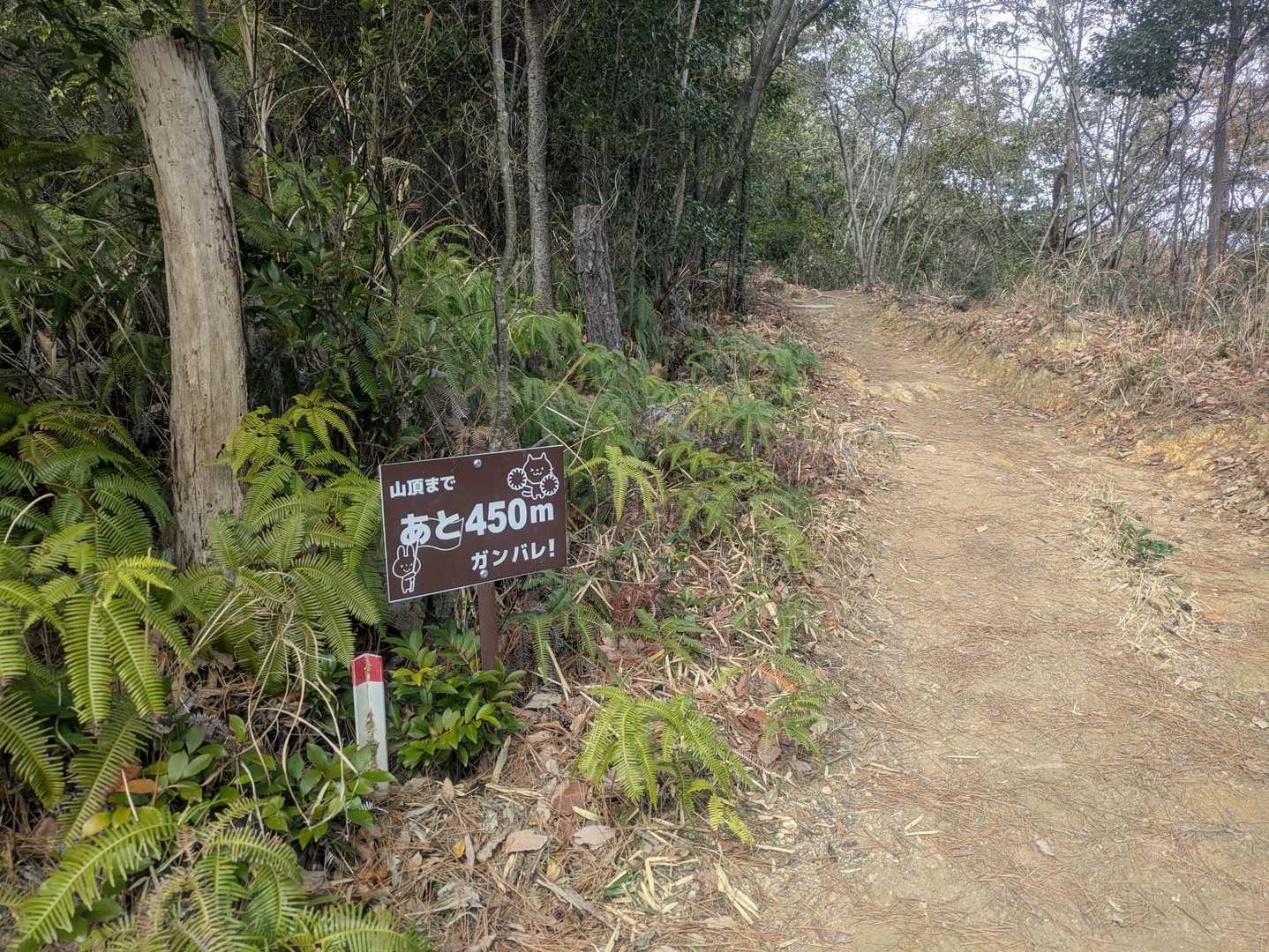 がんばれ-`📣の優しい看板は前からありましたね！