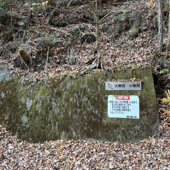 神社⛩️まで降りてきました
下部は走りやすいのでくだりは速かった