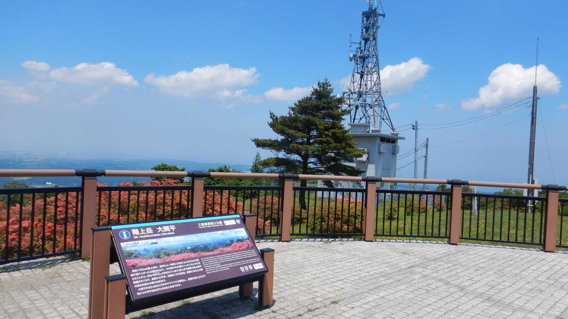 大びらき-階上岳 往復コースの写真