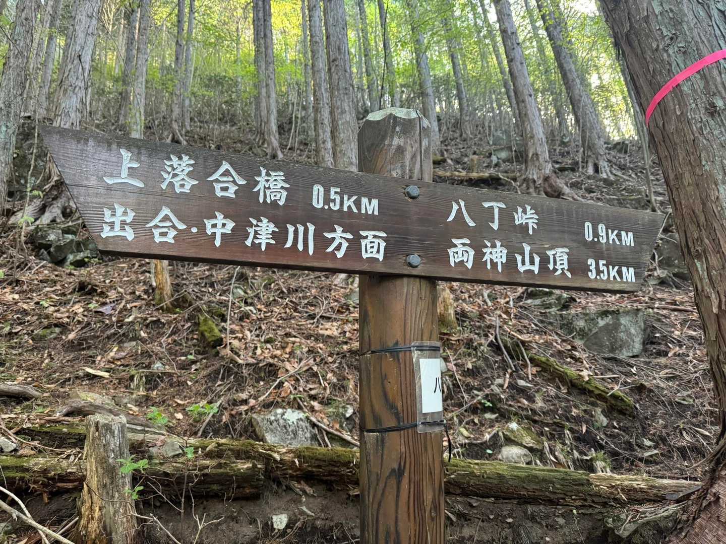 設置された看板もしっかりとした作り