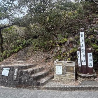 やっとおりてきましたー