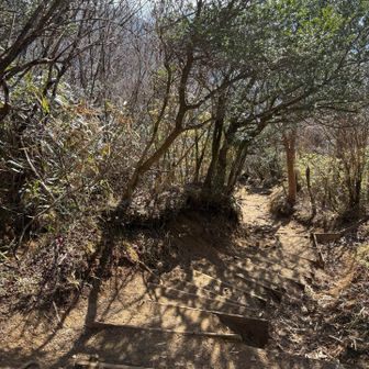 下山はつらくないです。
スピードでます♪