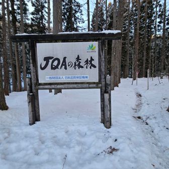 暗くなる前に戻れて良かった