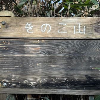 きのこ山🍄痛みはあるけれど体調は良好
