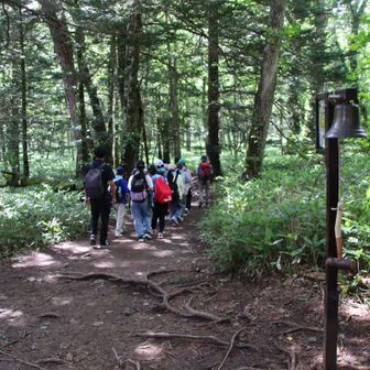 学校登山でしょうか？
幾つかのグループに分かれて賑やかに歩いていました。