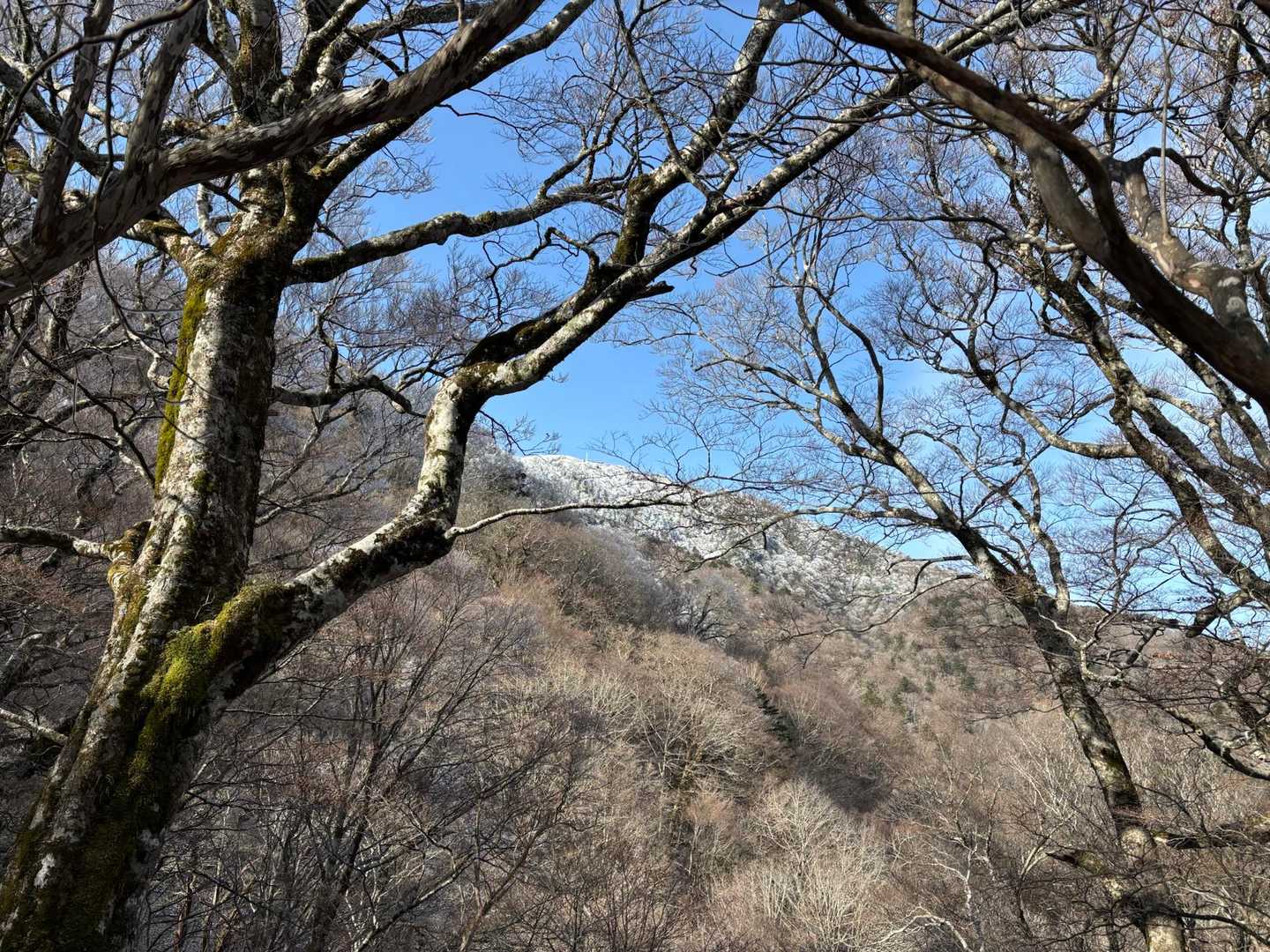 追分からの剣山