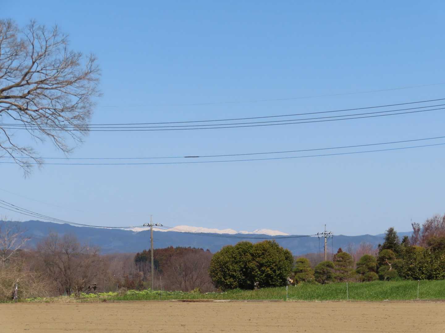 真っ白山も見えてる✨