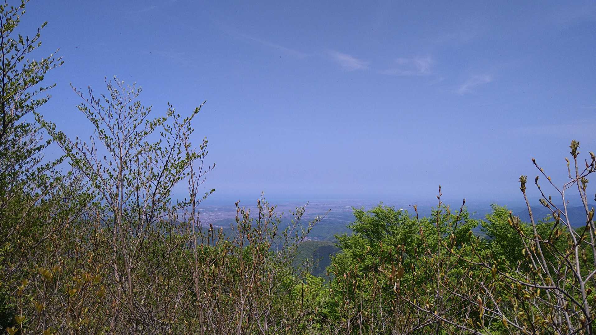 冬季とは違って🌳邪魔で景色見えない💦