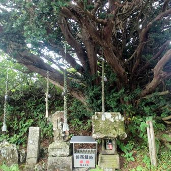 山頂下のお社。